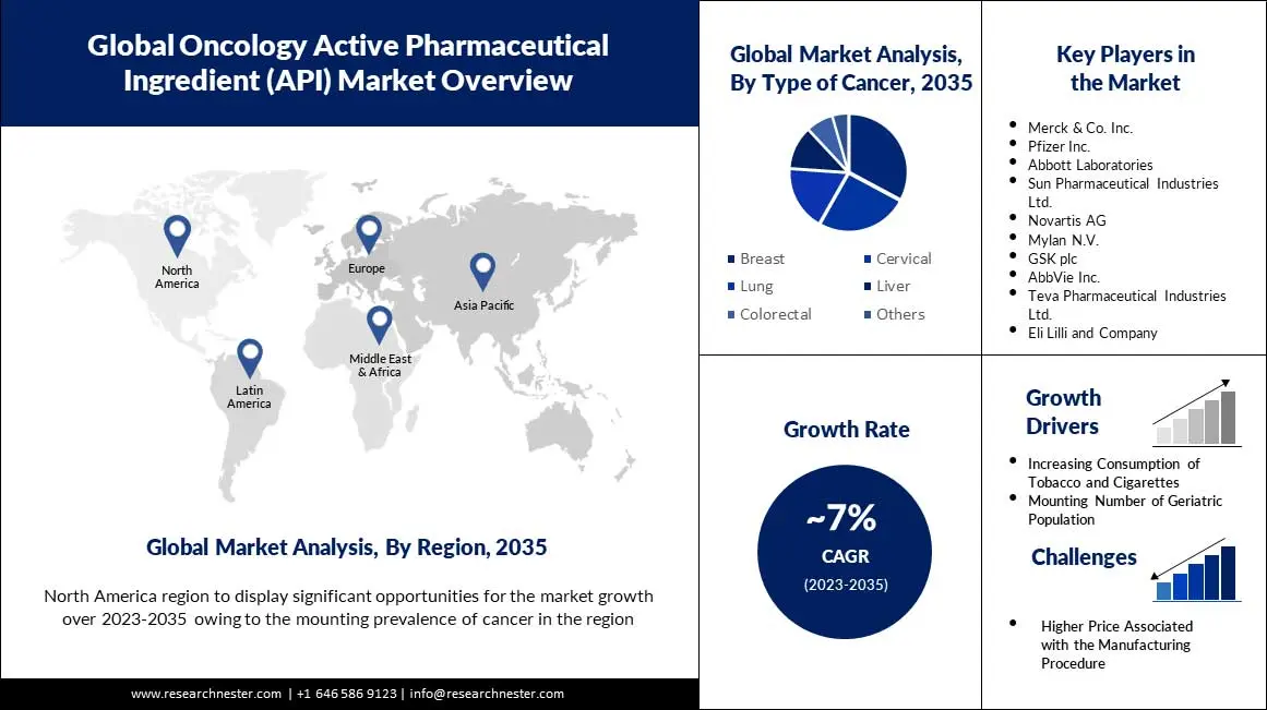 Oncology Active Pharmaceutical Ingredient (API) Market